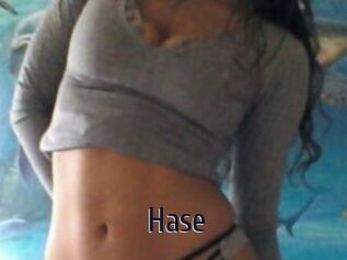 Hase