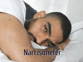 Narcisonefer