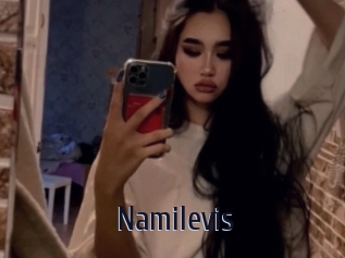Namilevis