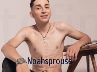 Noahsprouse