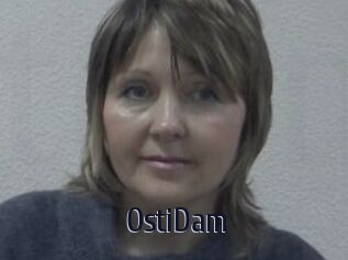OstiDam