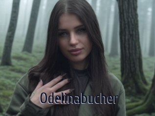 Odelinabucher