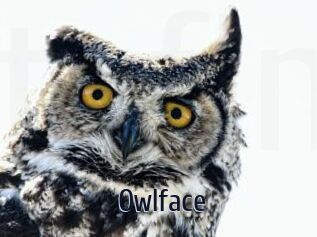 Owlface