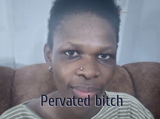 pervated_bitch Topp Finder