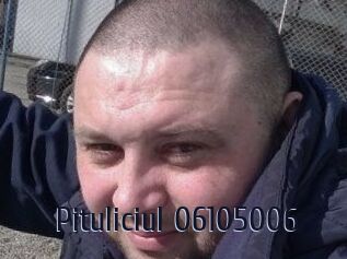 Pituliciul-06105006