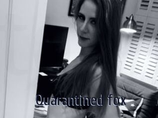 Quarantined_fox