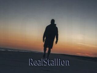 RealStallion
