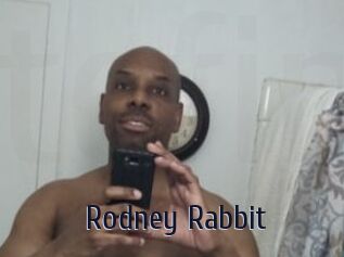 Rodney_Rabbit