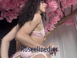 Roseelinedior
