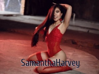 SamanthaHarvey Topp Finder