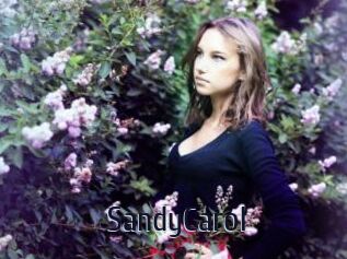 SandyCarol Topp Finder