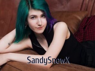 SandySnowX