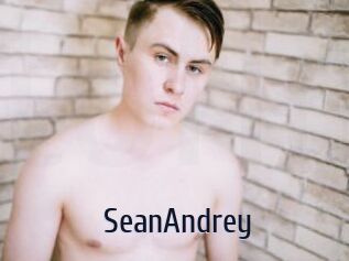 SeanAndrey