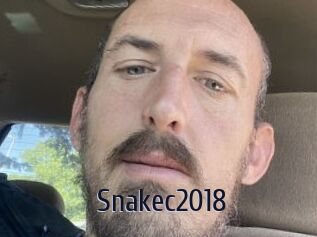 Snakec2018