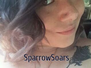 SparrowSoars
