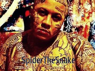 SpiderTheSnake