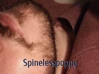 Spinelesspoppy