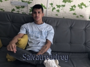Salvatredelrey