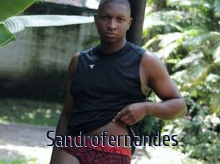 Sandrofernandes