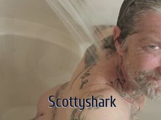 Scottyshark