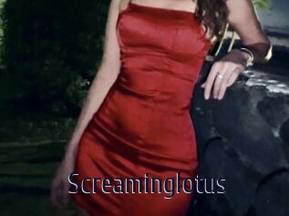 Screaminglotus
