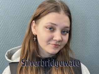 Silverbridgewate