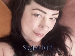 Skylar_bird