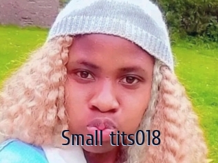 Small_tits018