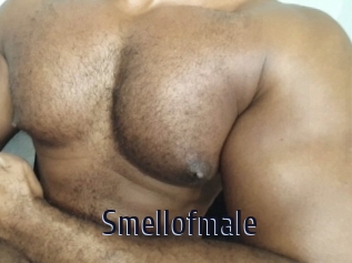 Smellofmale