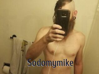 Sodomymike