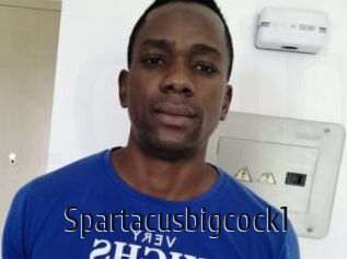 Spartacusbigcock1