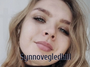 Synnovegledhill