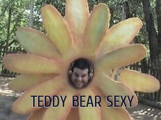 TEDDY_BEAR_SEXY