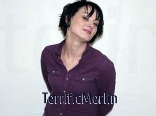 TerrificMerlin
