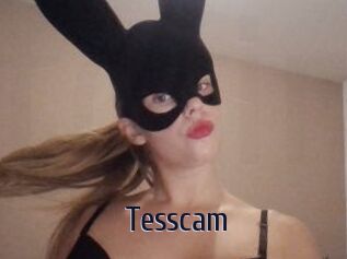 Tesscam