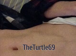 TheTurtle69