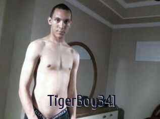 TigerBoy341
