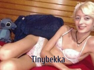 Tinybekka