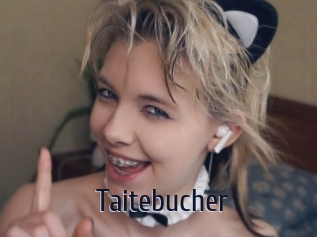 Taitebucher