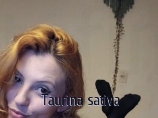 Taurina_sativa
