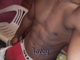 Tavog
