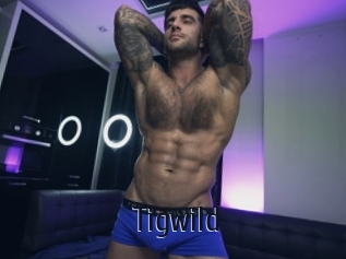 tigwild Topp Finder