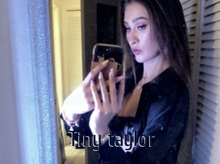 Tiny_taylor