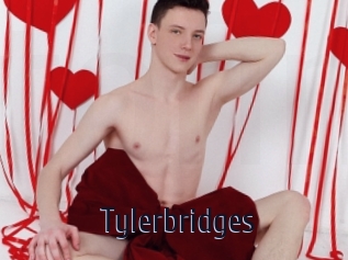 tylerbridges Topp Finder