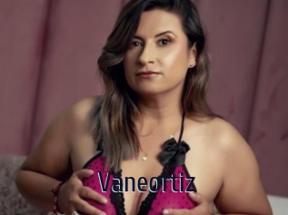 Vaneortiz