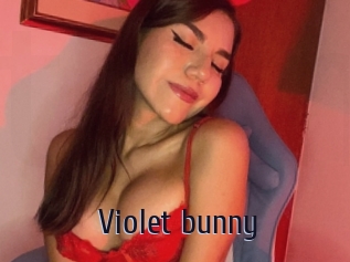 Violet_bunny