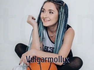 Vulgarmollyx