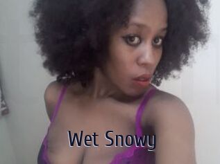 Wet_Snowy