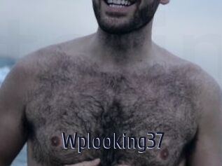 Wplooking37