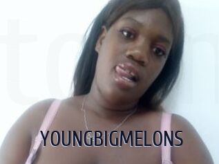 YOUNGBIGMELONS